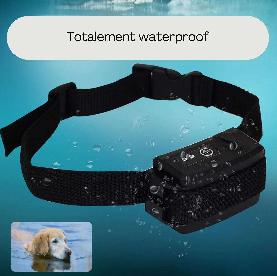 collar electrico para perros