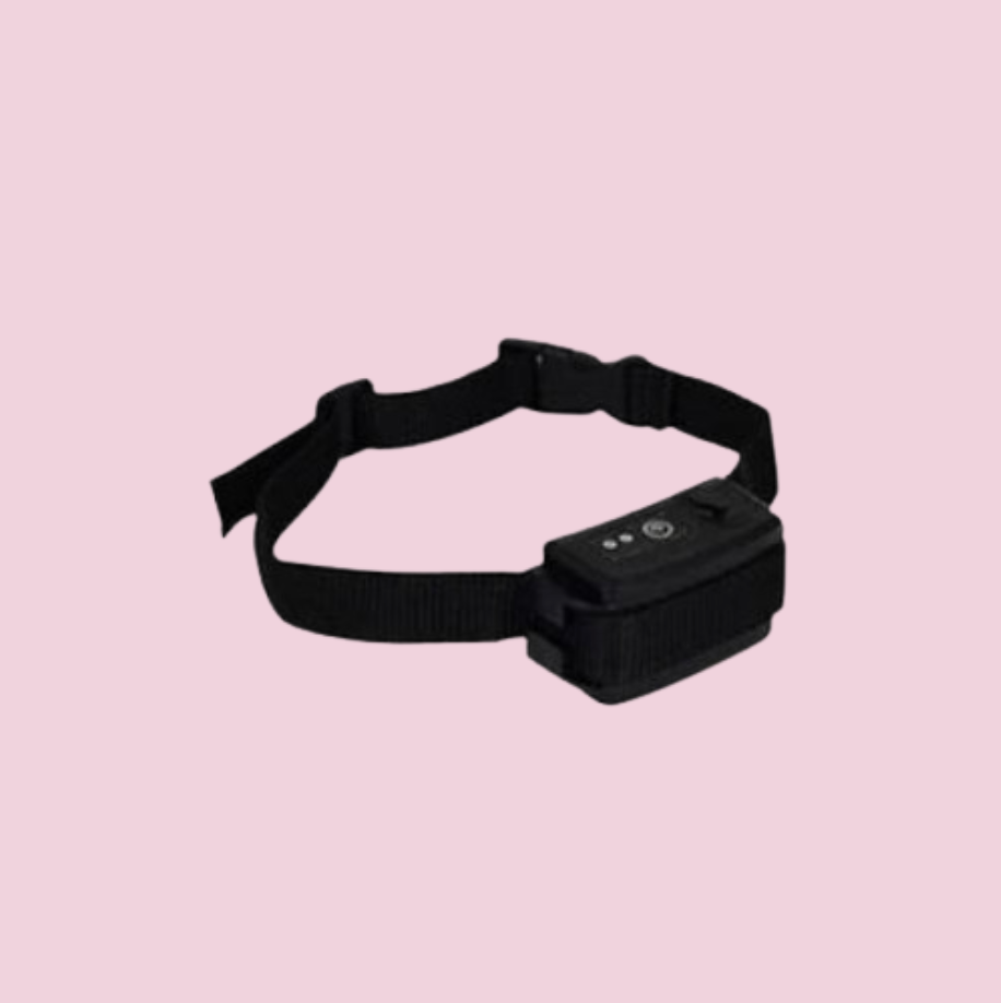 collar electrico para perros