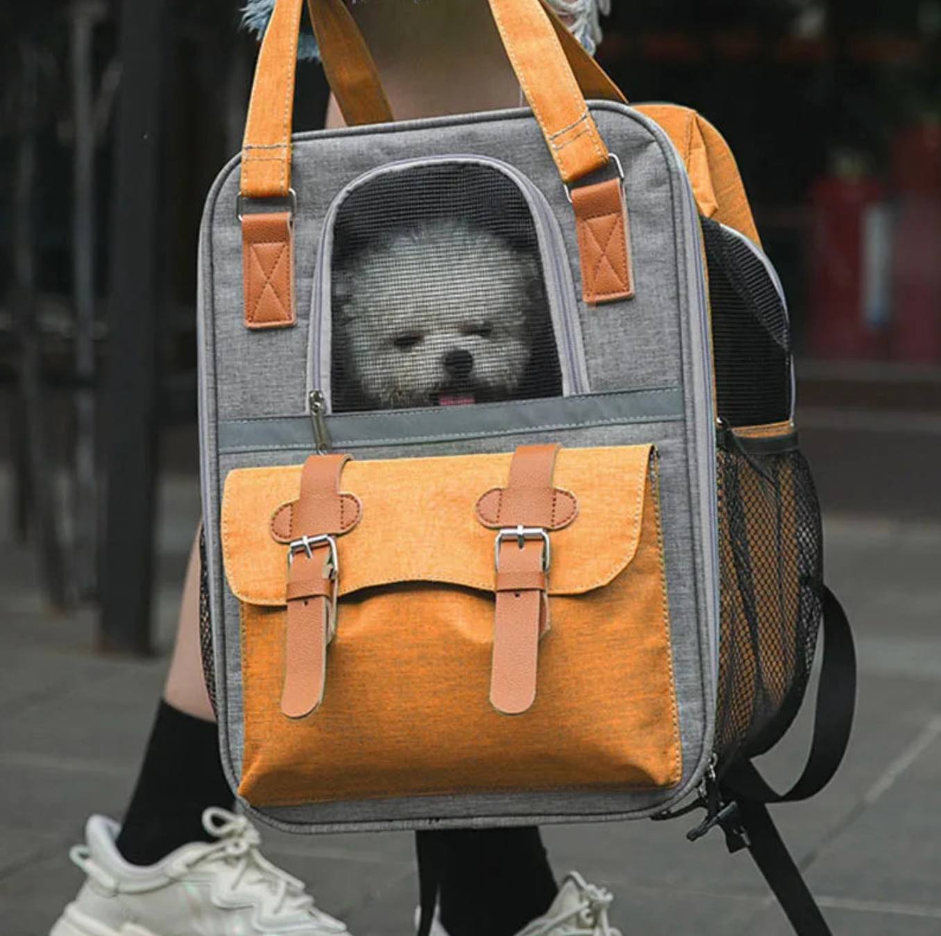 movimiento de mascotas