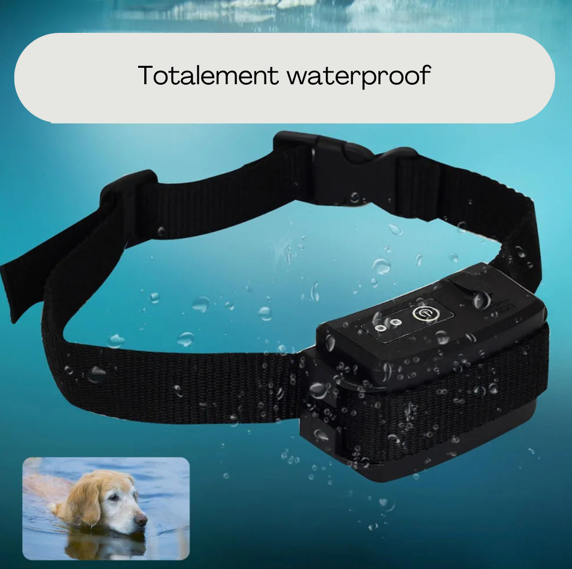 Electric collar for dogs