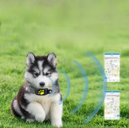 Track Pet - GPS SIM