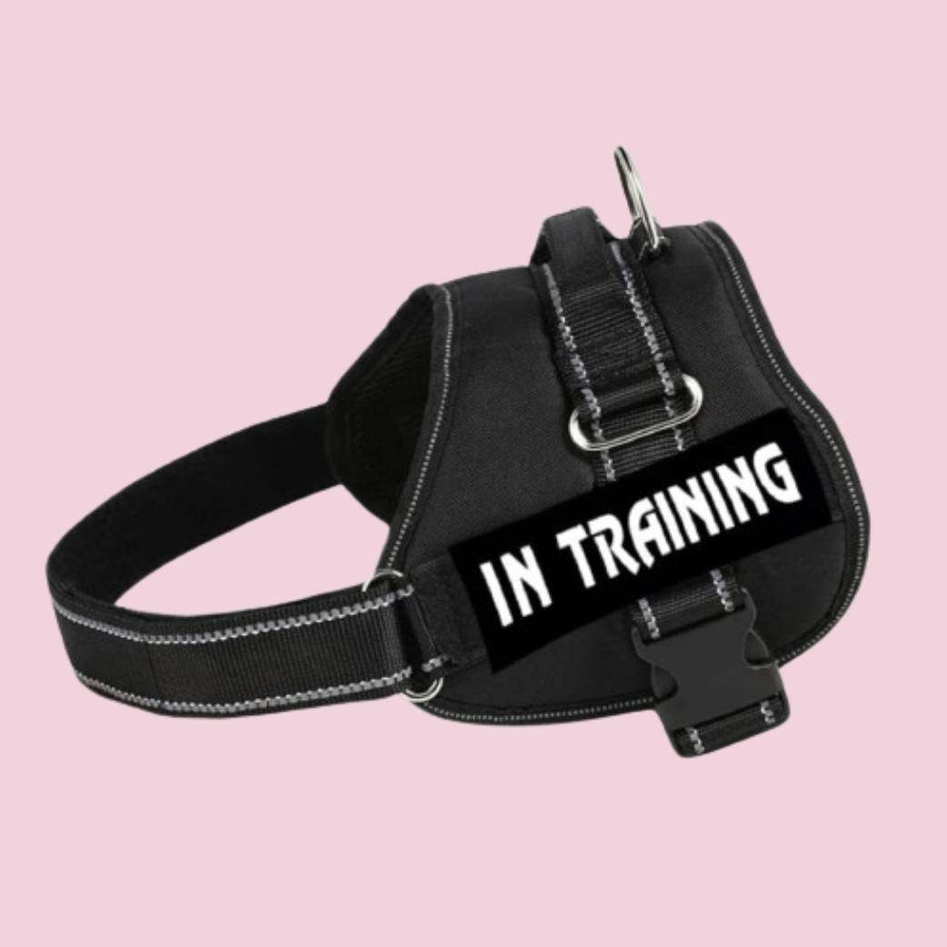 Pro Harness