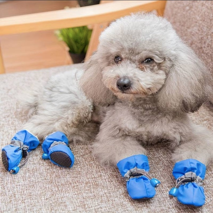 Doggy'Boots