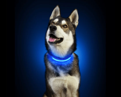 Lumidog - collier lumineux