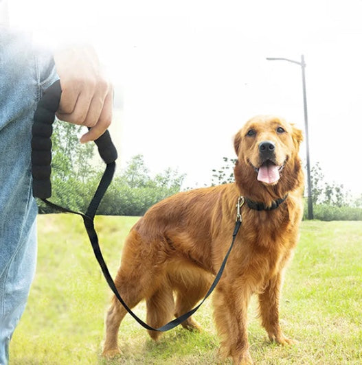 Control'Canin - control leash