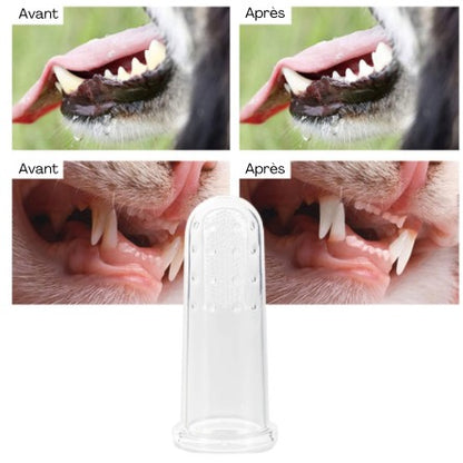 PetBrush - toothbrush for dogs or cats