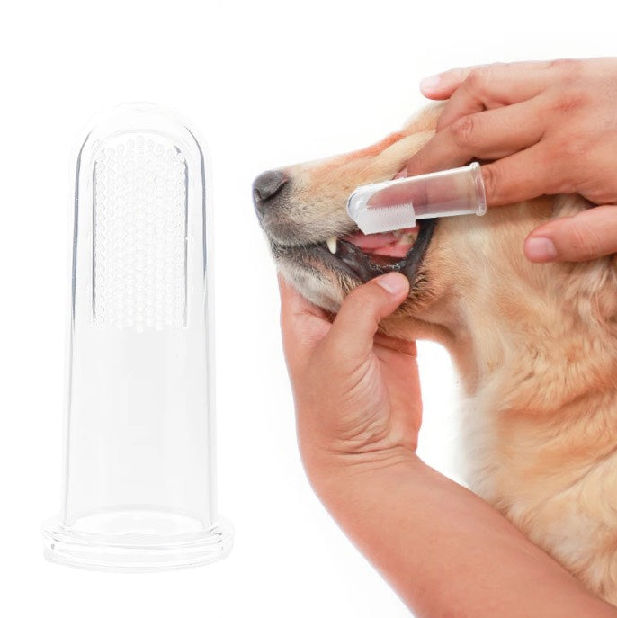 PetBrush - brosse à dents pour chiens ou chats