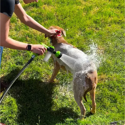 SplashDog